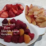 住宿加早餐酒店 Ellerton Swaledale