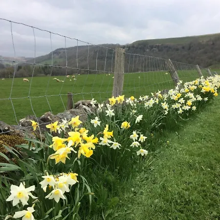 Ellerton Swaledale 4*