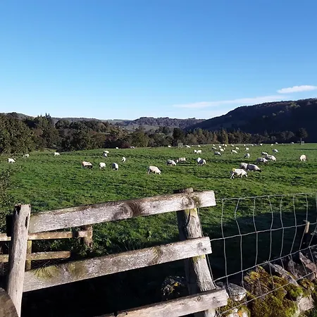 Bed & Breakfast Ellerton Swaledale 4*