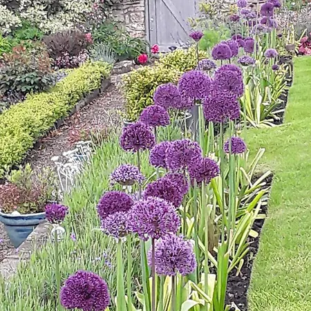 Ellerton Swaledale 4*