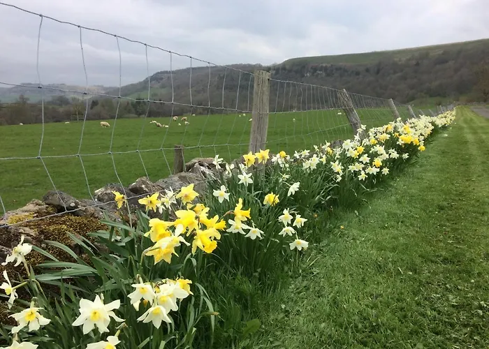 Ellerton Swaledale 4*