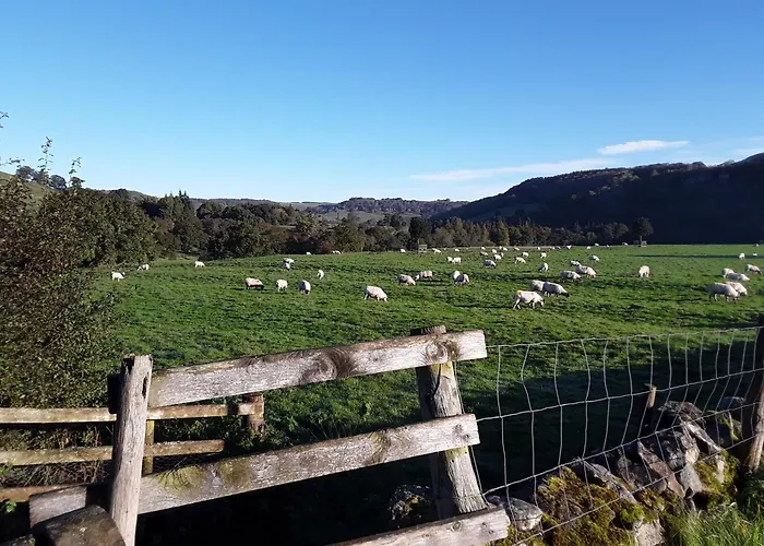 Bed & Breakfast Ellerton Swaledale 4*