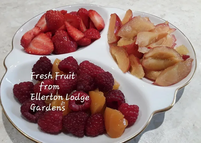 Bed & Breakfast Ellerton Swaledale