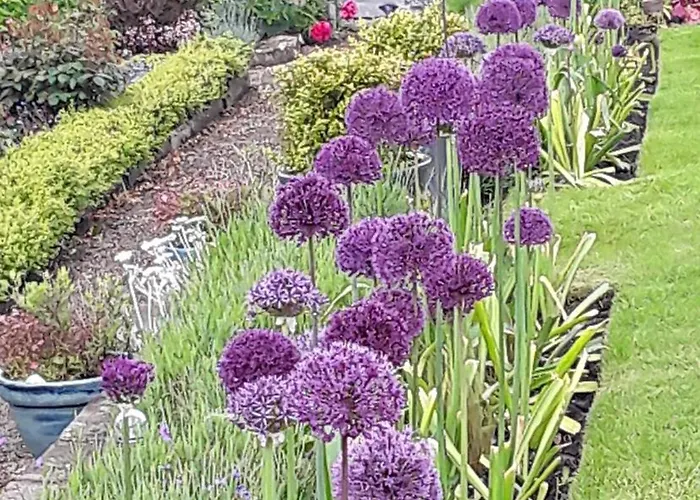 Ellerton Swaledale 4*